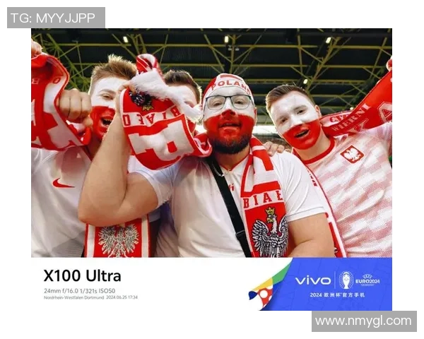 欧洲杯赛事球迷互动及文化传承研究